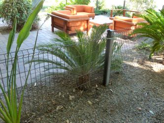 Welded wire mesh fence