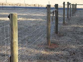 Hinge Knot Farm Fence 