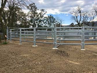 Cattle panel