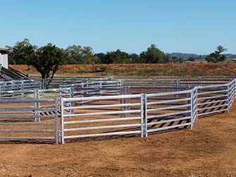 Sheep Panel