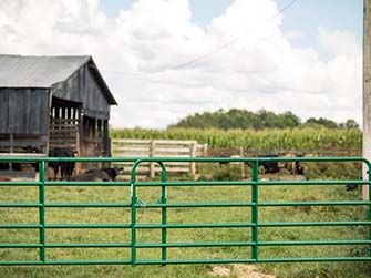 Farm gate